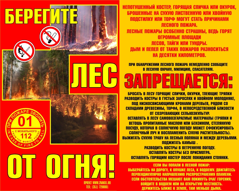 Листовки на противопожарную тематику!.