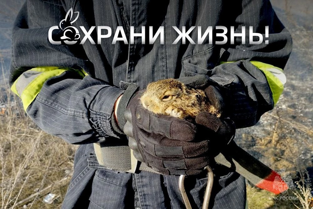 ✅Сделай правильный выбор – соблюдай требования пожарной безопасности!.